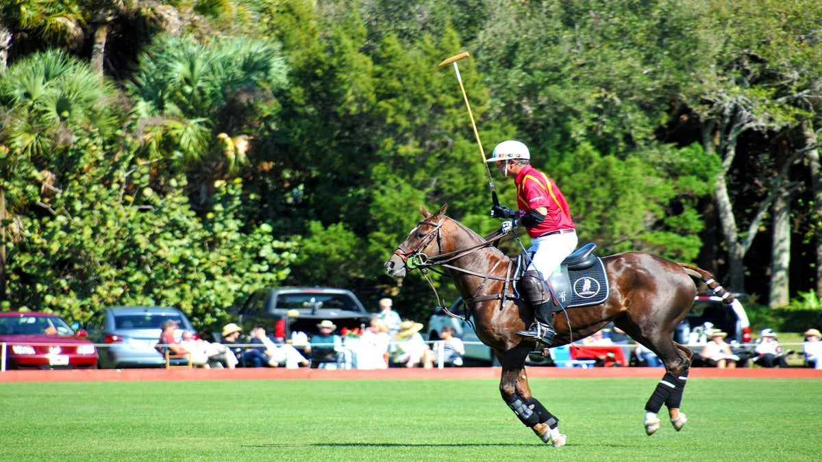 Sotogrande-polo